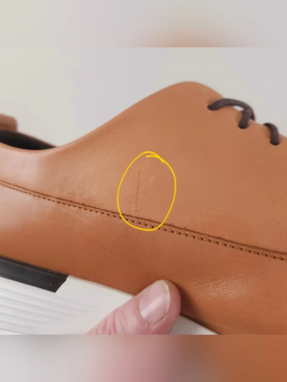 Wolf & Shepherd Crossover Longwing Oxford US 14